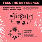 LMNT Zero Sugar Electrolyte Packets