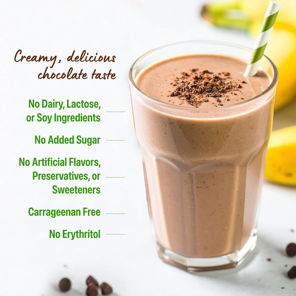 Orgain Organic Vegan 21G Protein Powder