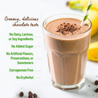 Orgain Organic Vegan 21G Protein Powder
