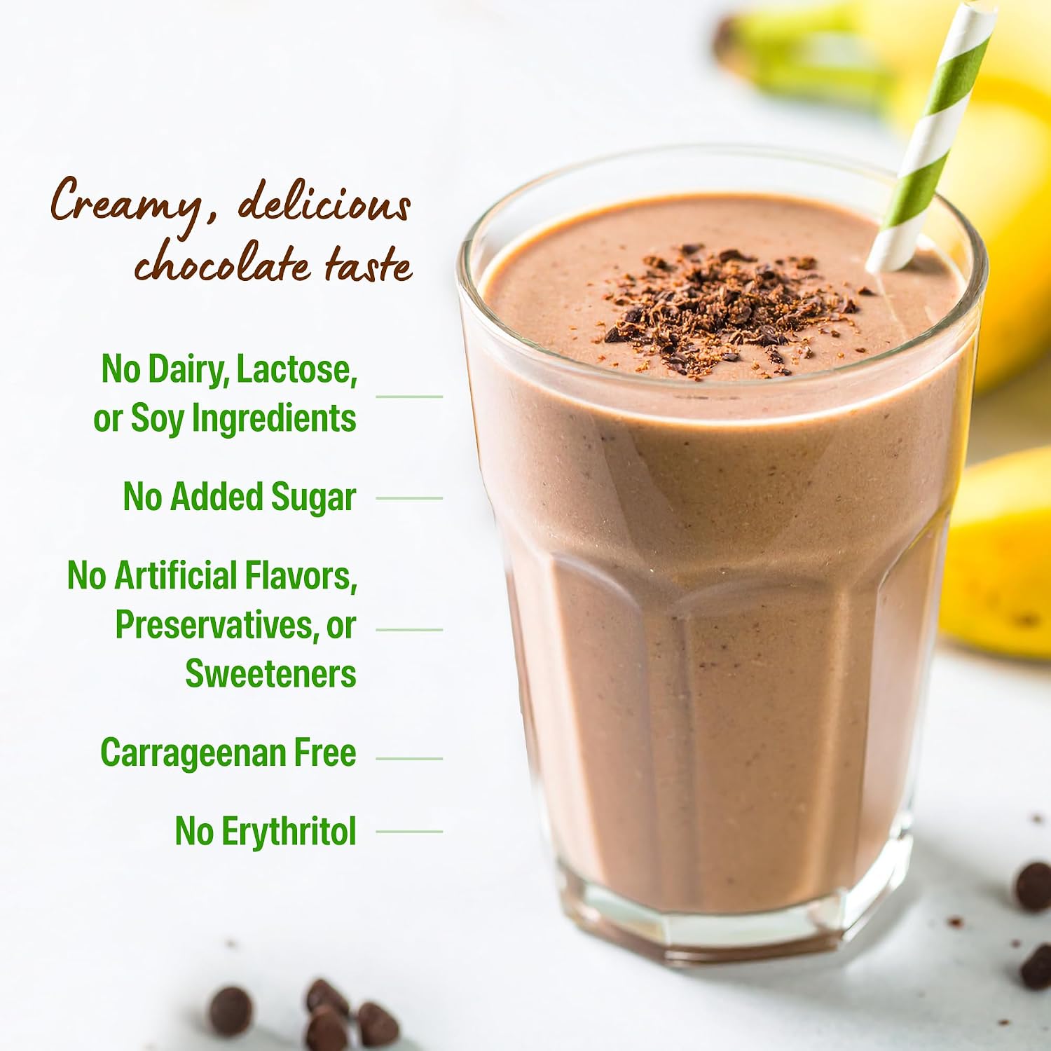 Orgain Organic Vegan 21G Protein Powder