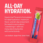 Sqwincher Qwik Stik Electrolyte Mix